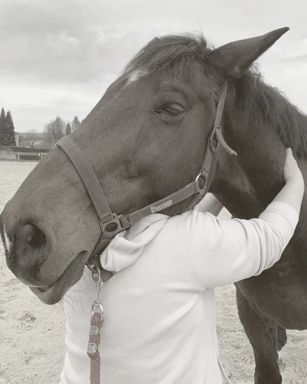 Anne Boutillon, les bras autour de l'encolure d'un cheval bai, pour travailler certains points, dans la carrière